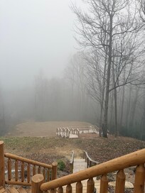 Oh Christmas Tree ❤️