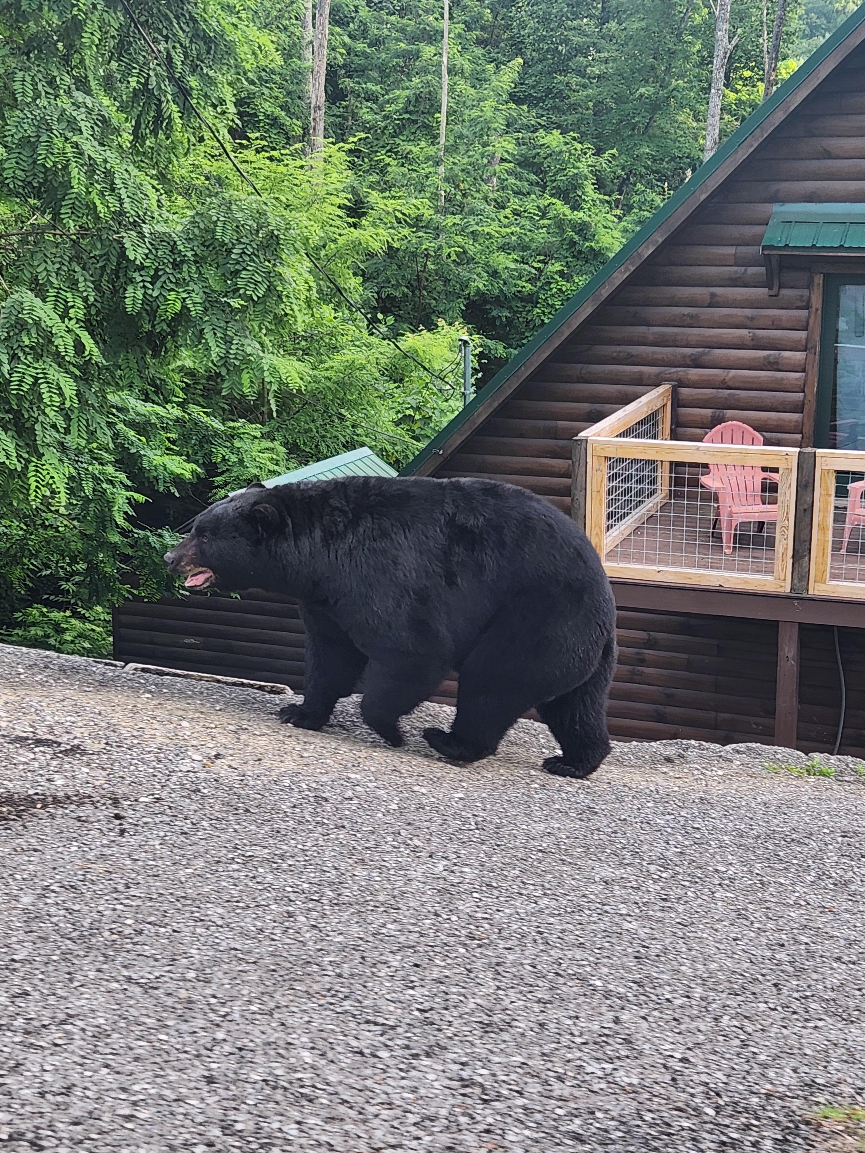 Just a 1/2 mile from the house