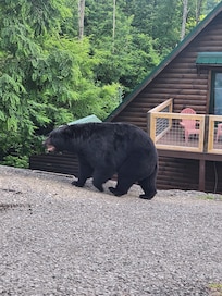 Just a 1/2 mile from the house