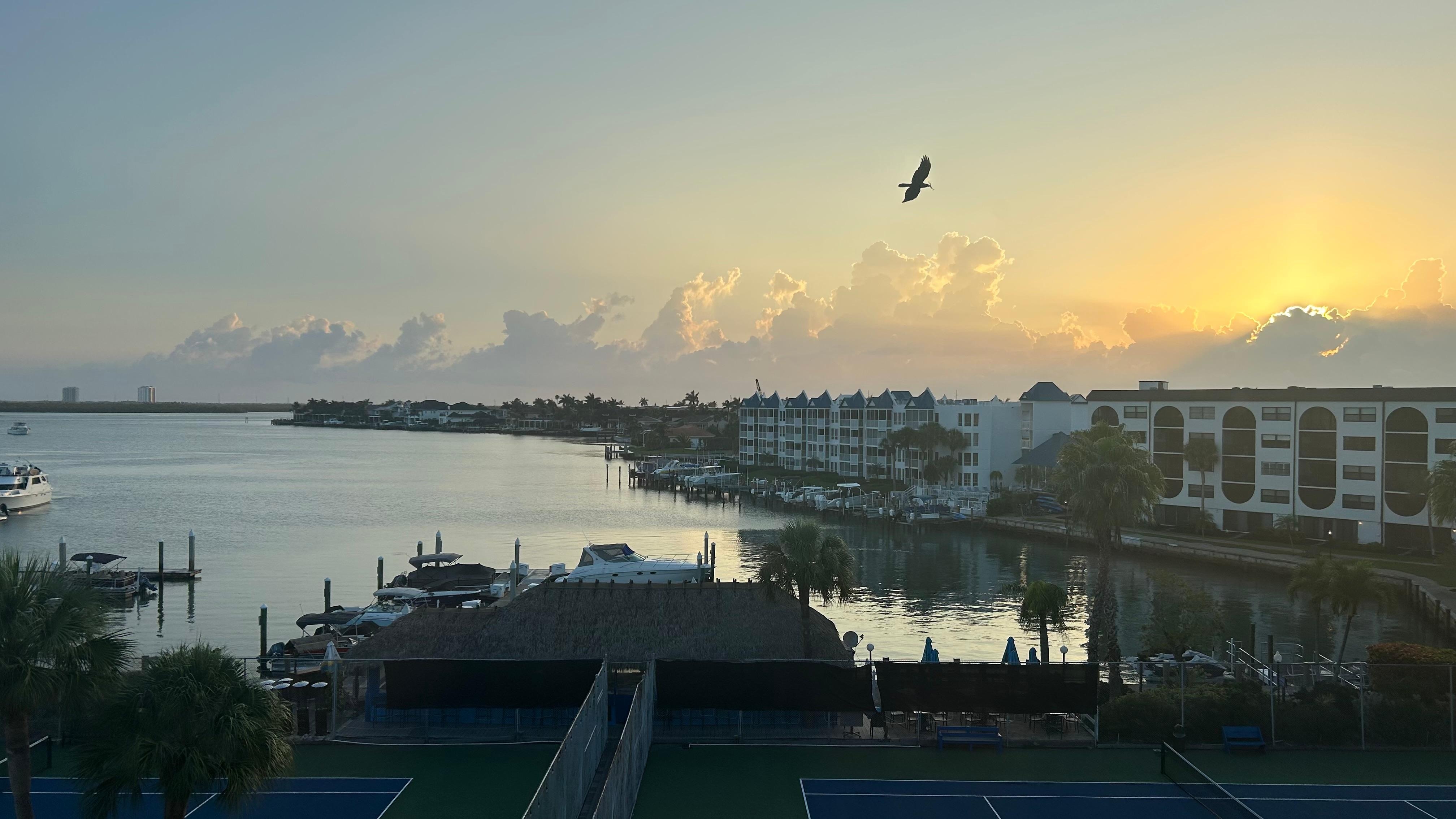Looking out our bedroom window!