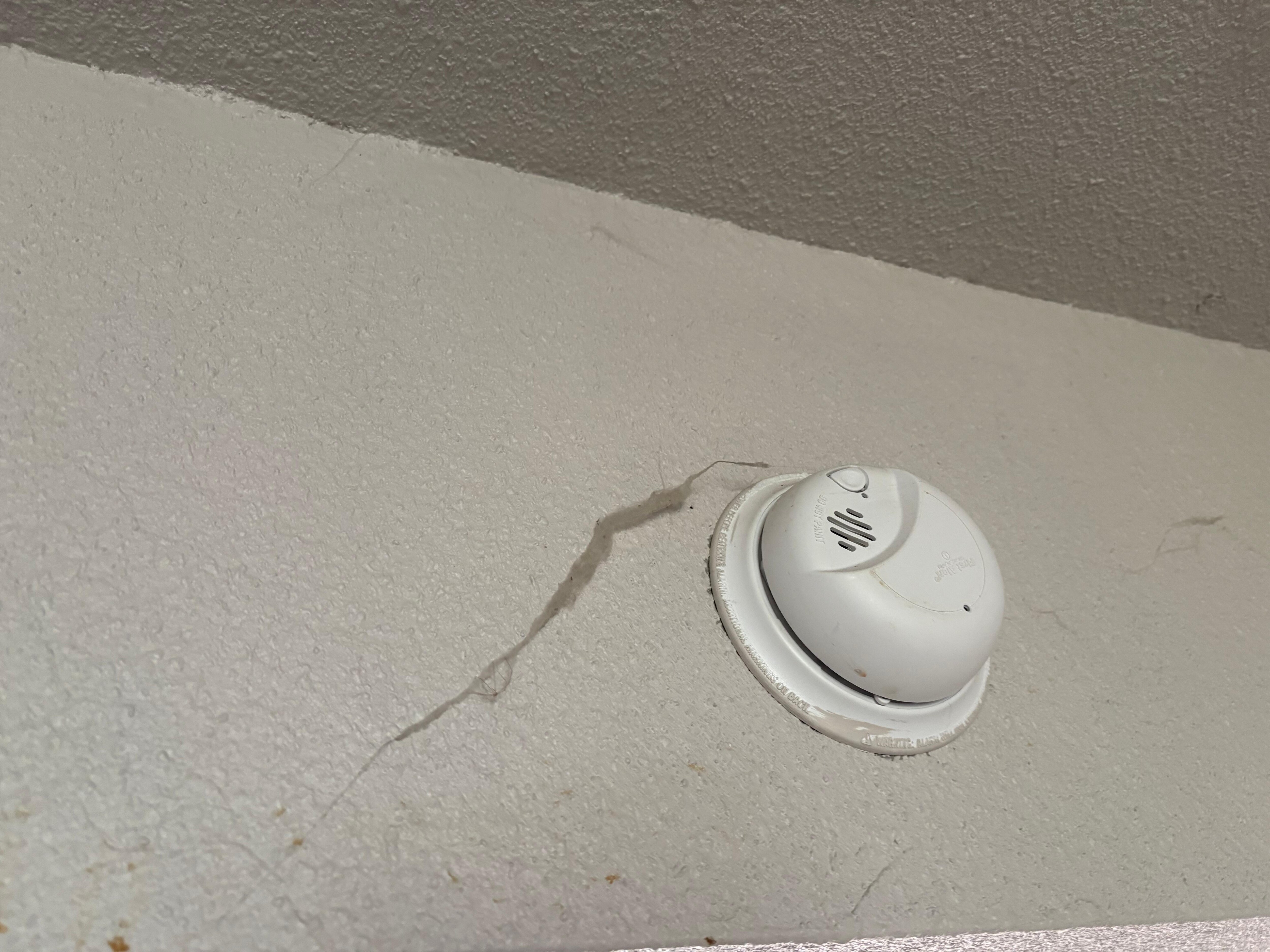 Spider webs everywhere. 