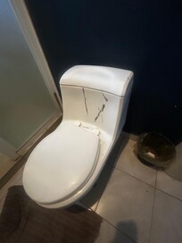 The non working toilet