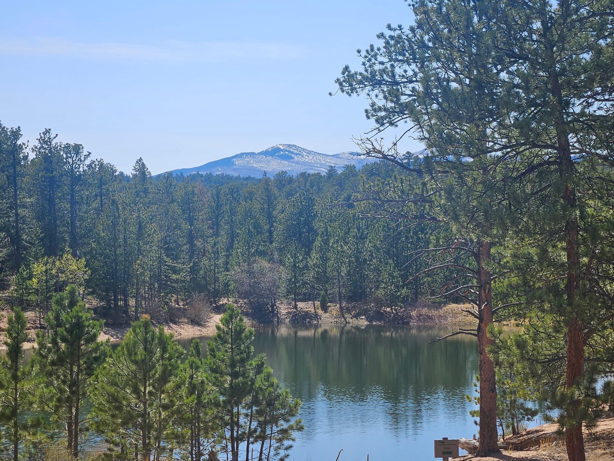 Right beside the cabin. 