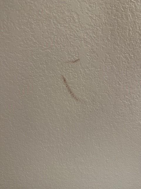 Blood on the walls