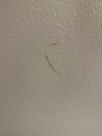 Blood on the walls