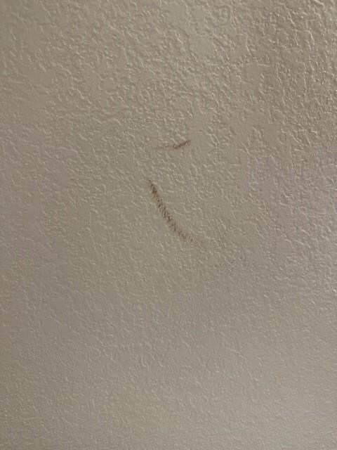 Blood on the walls