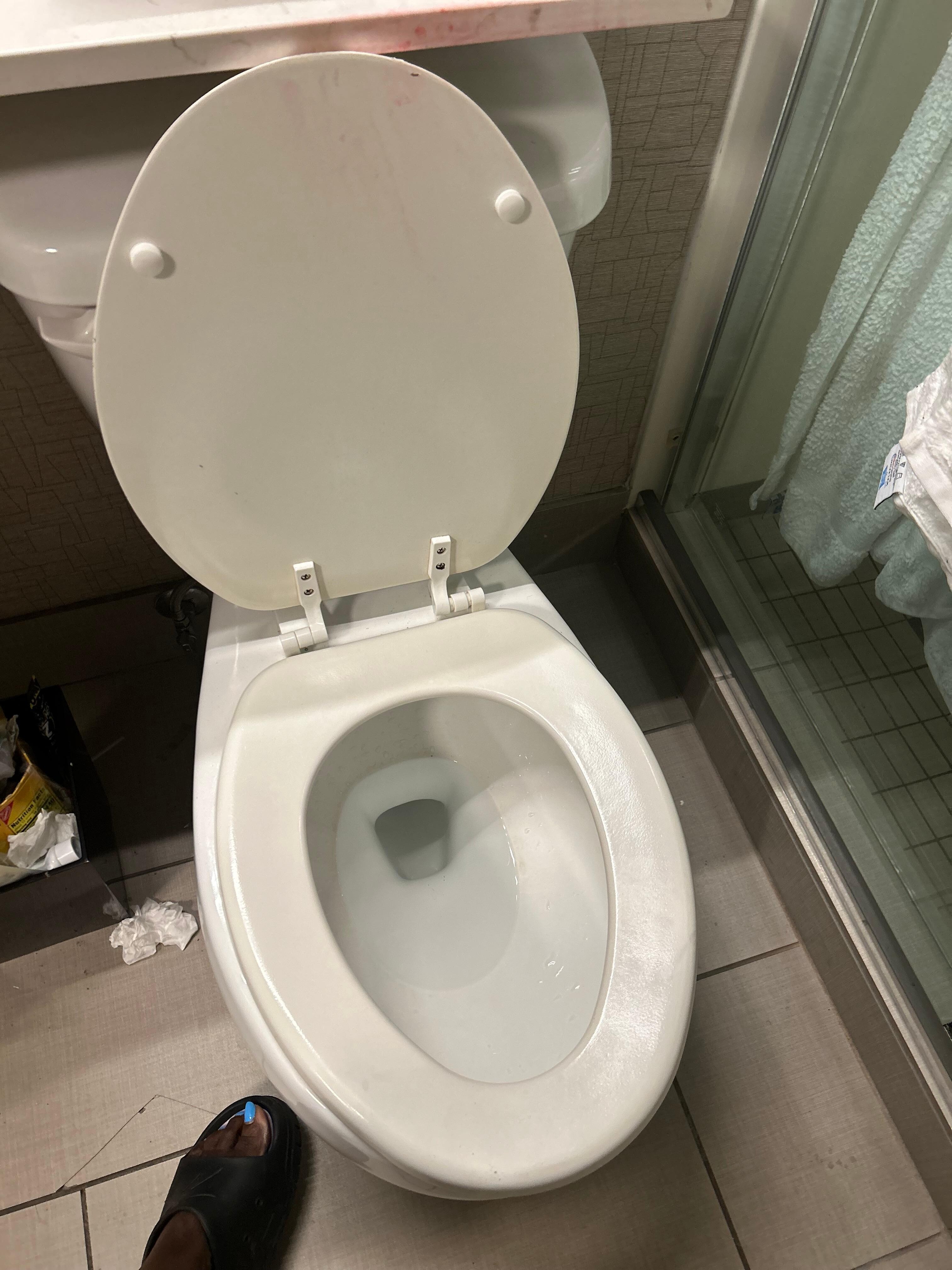 A better fitting toilet seat would be appreciated
