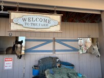 Welcome greeting from the horses