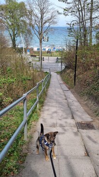 4 min Gehweg zum Strand und Bus