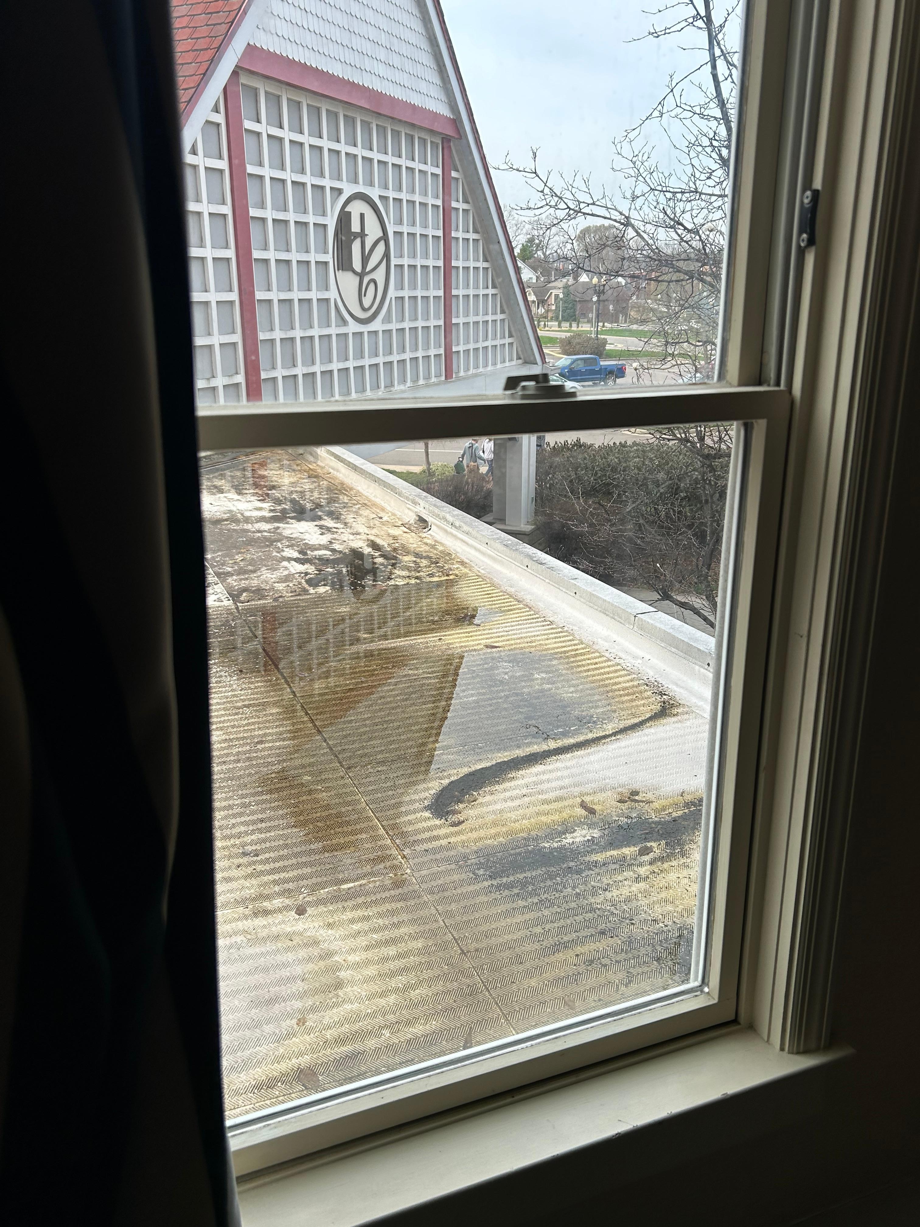 View outside from room