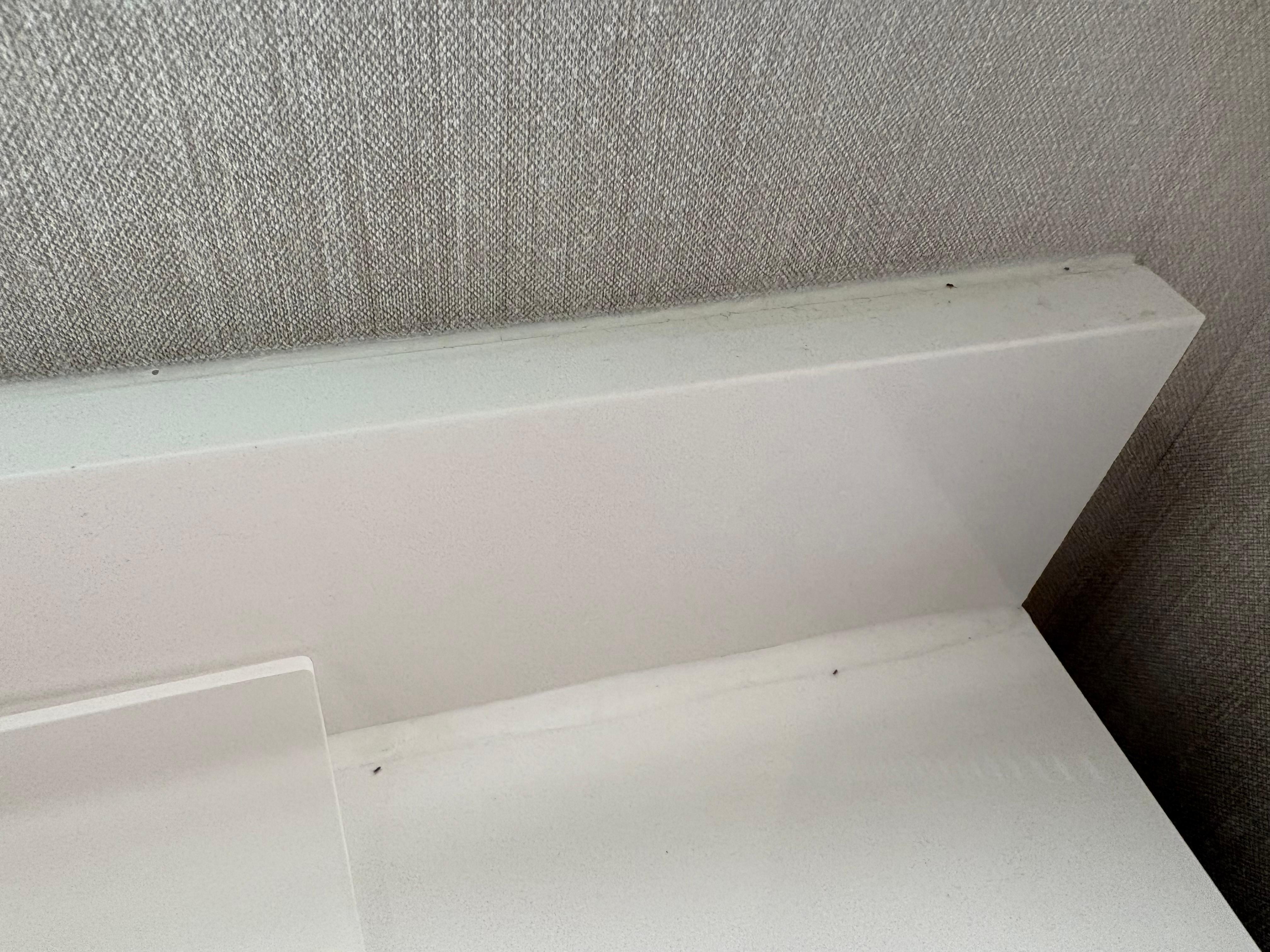 Bugs in bathroom 