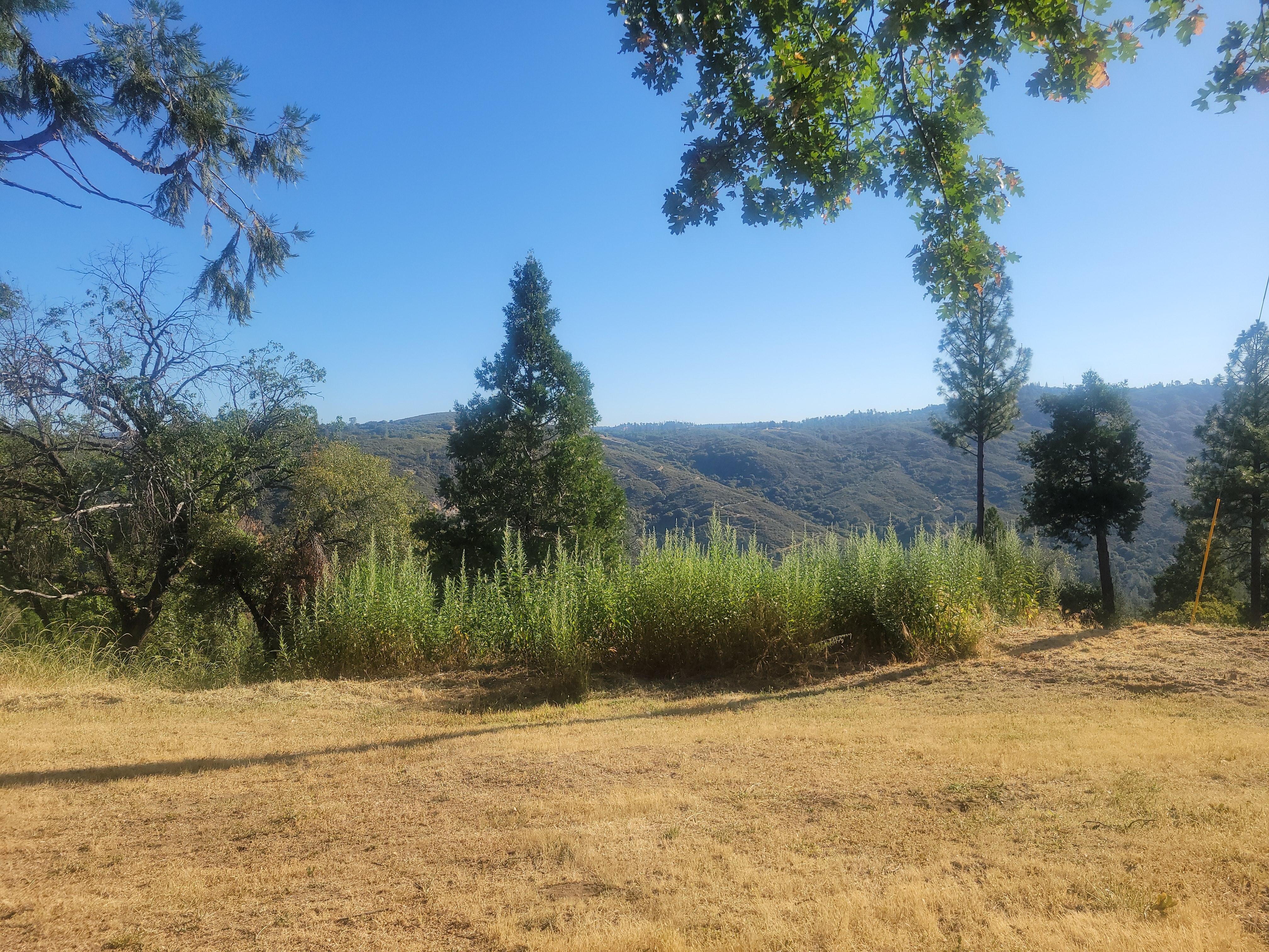 View in back of home