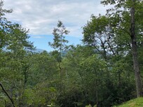 Our view from the fire pit!