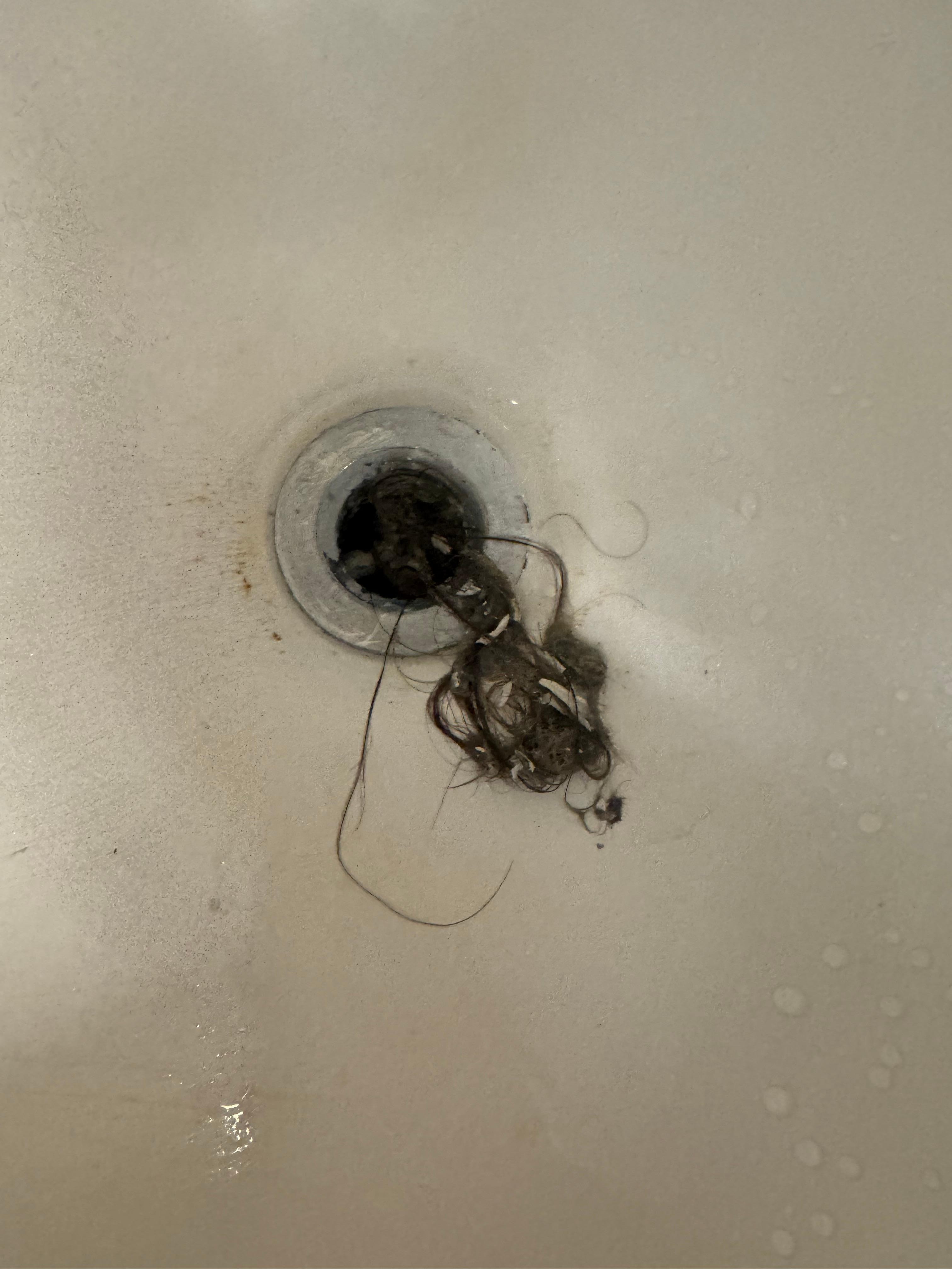 The drains were completely clogged. 