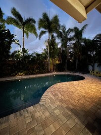 Dusk in the backyard