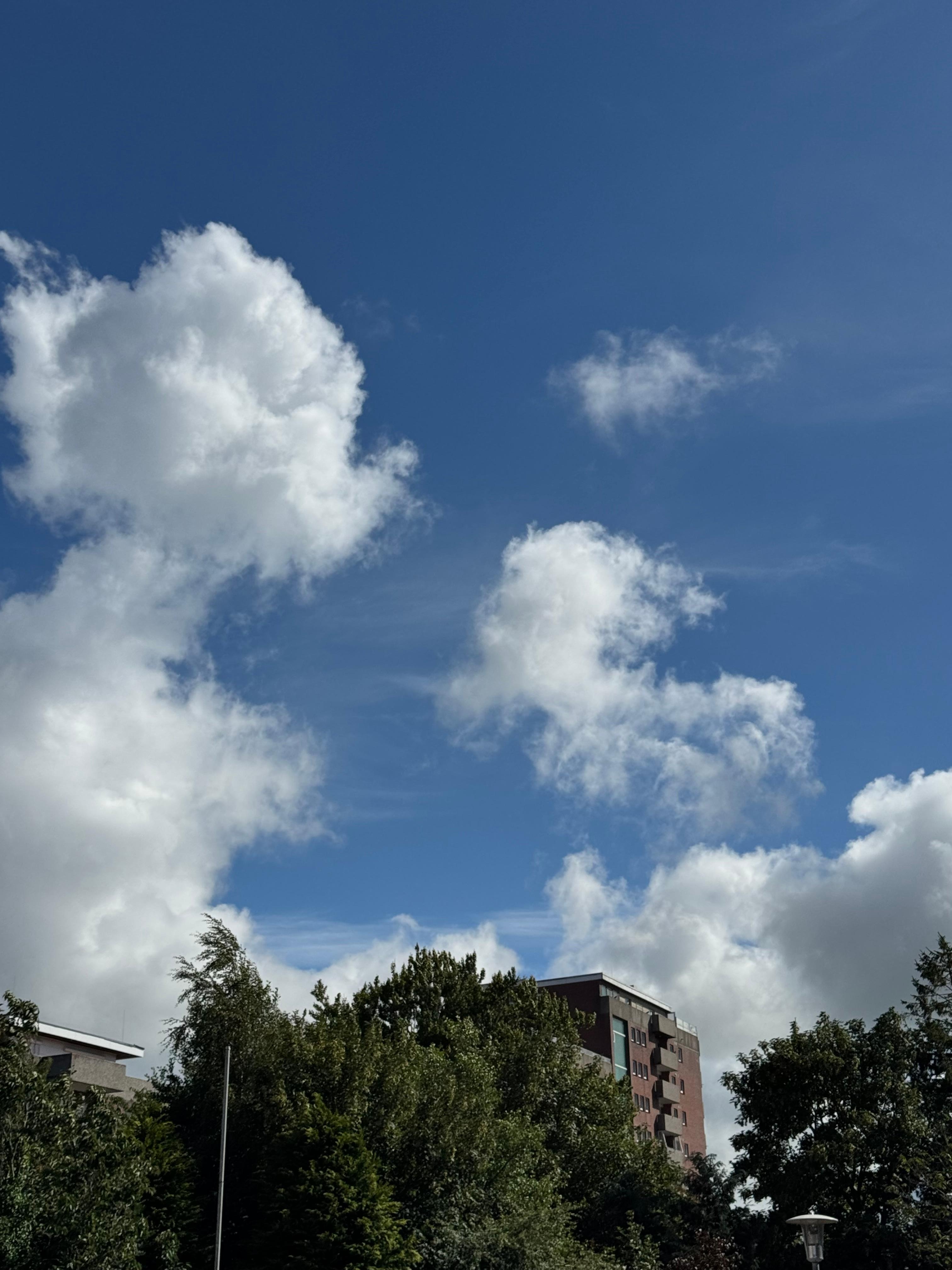 Blick aus dem Fenster 