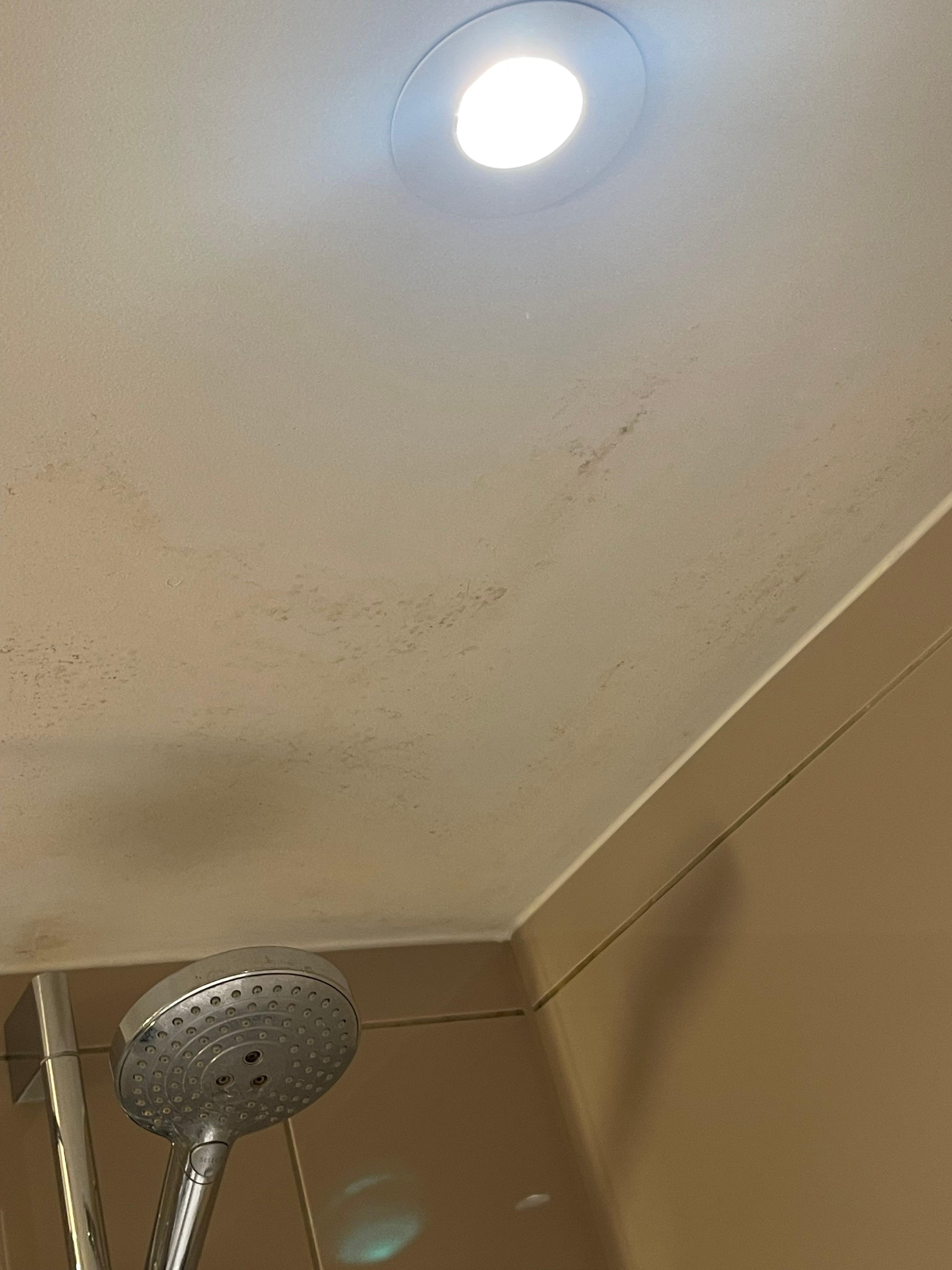 Mold