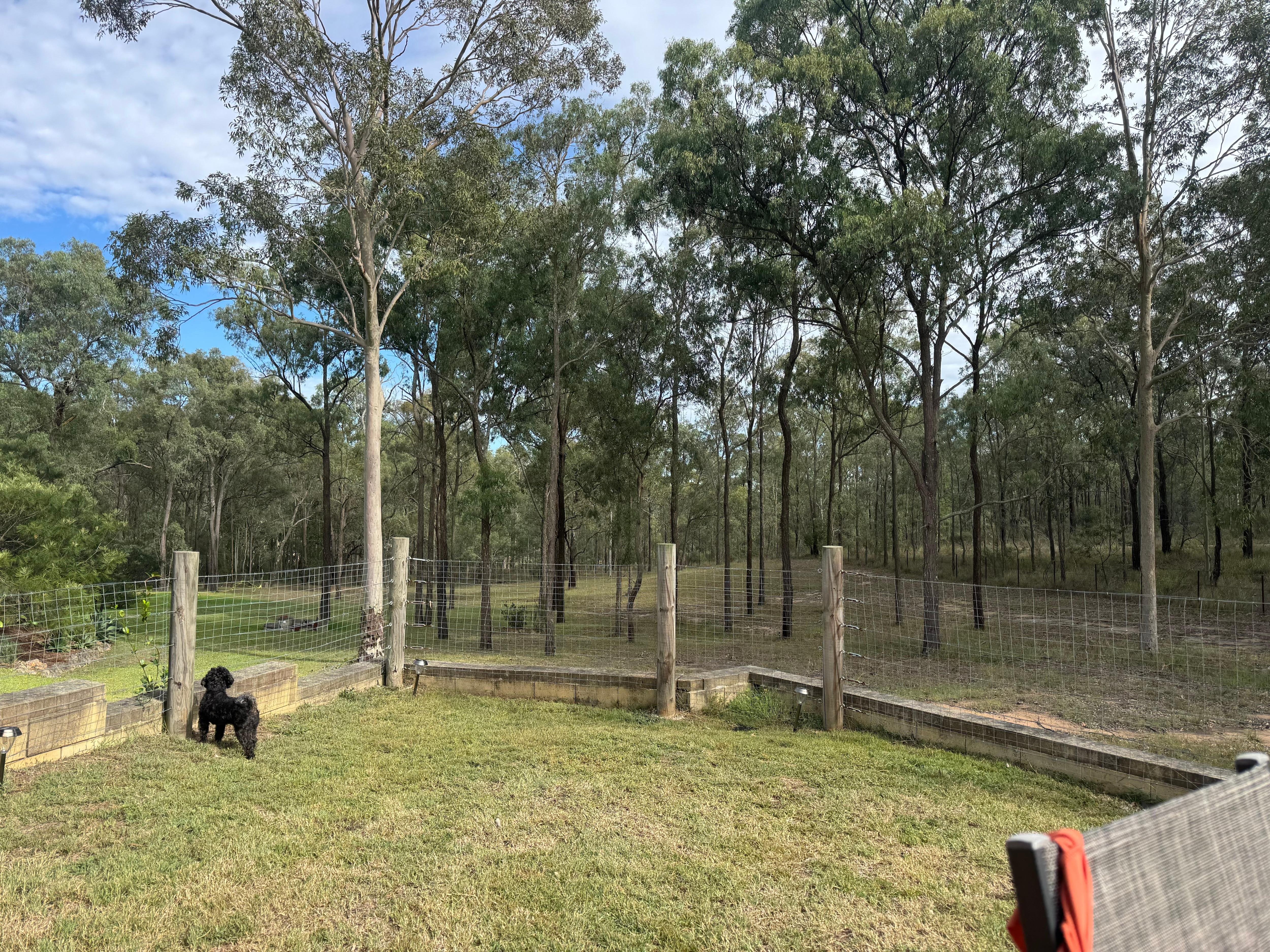 Fenced yard for pooch 