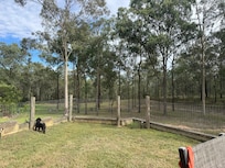 Fenced yard for pooch