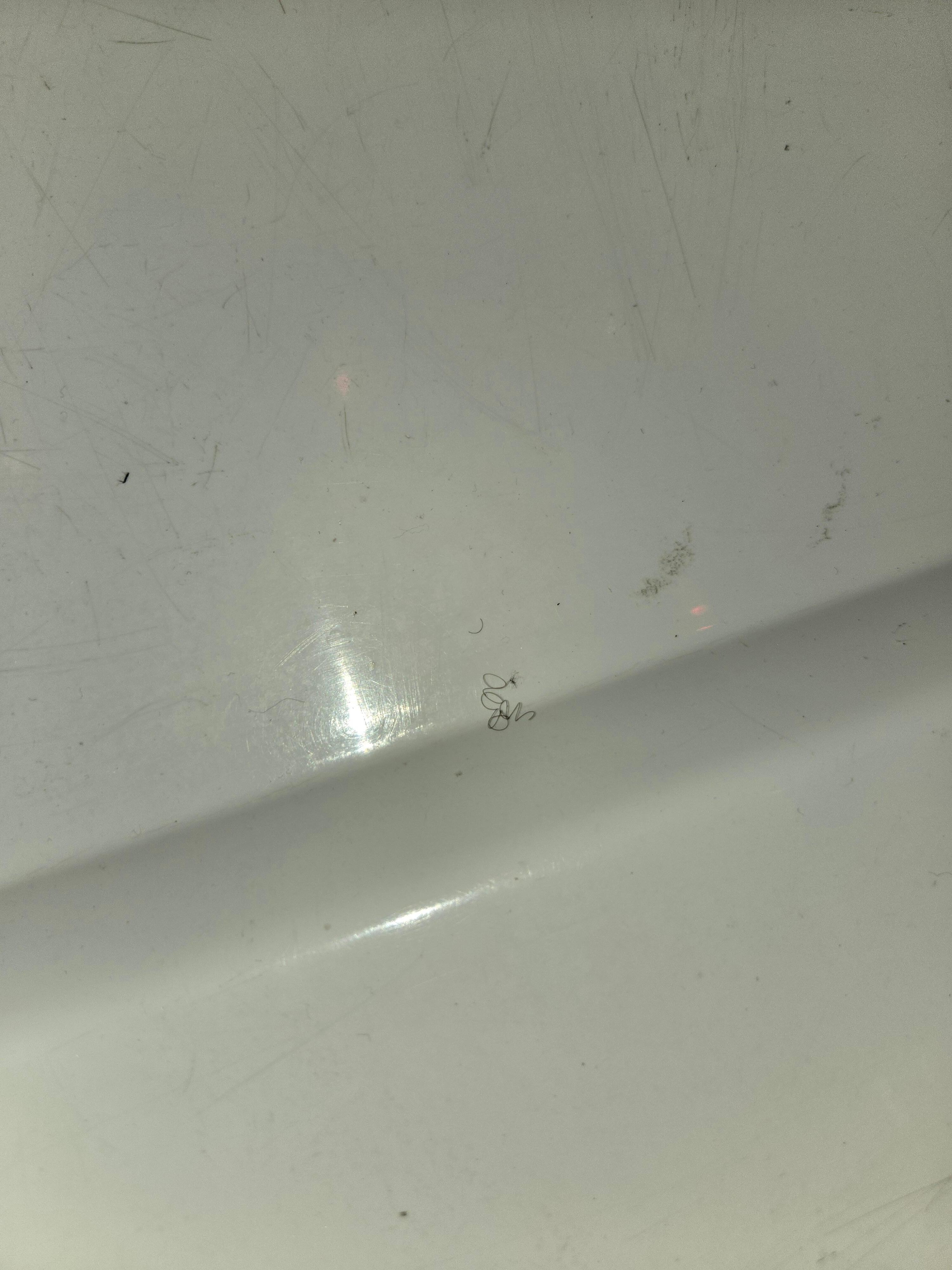 Pubic hairs in the shower at check in.  