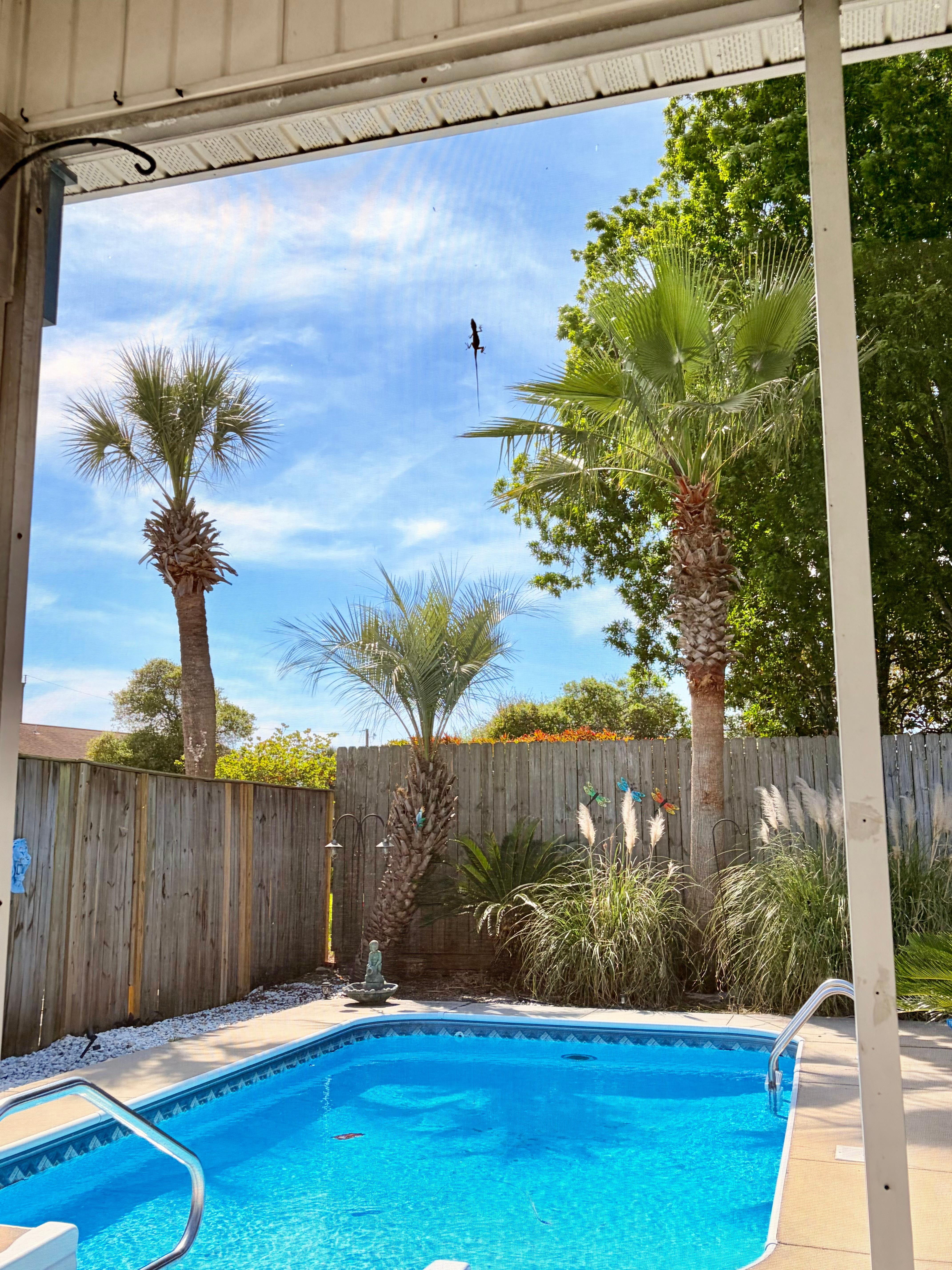 So relaxing and a little lizard we named Larry!