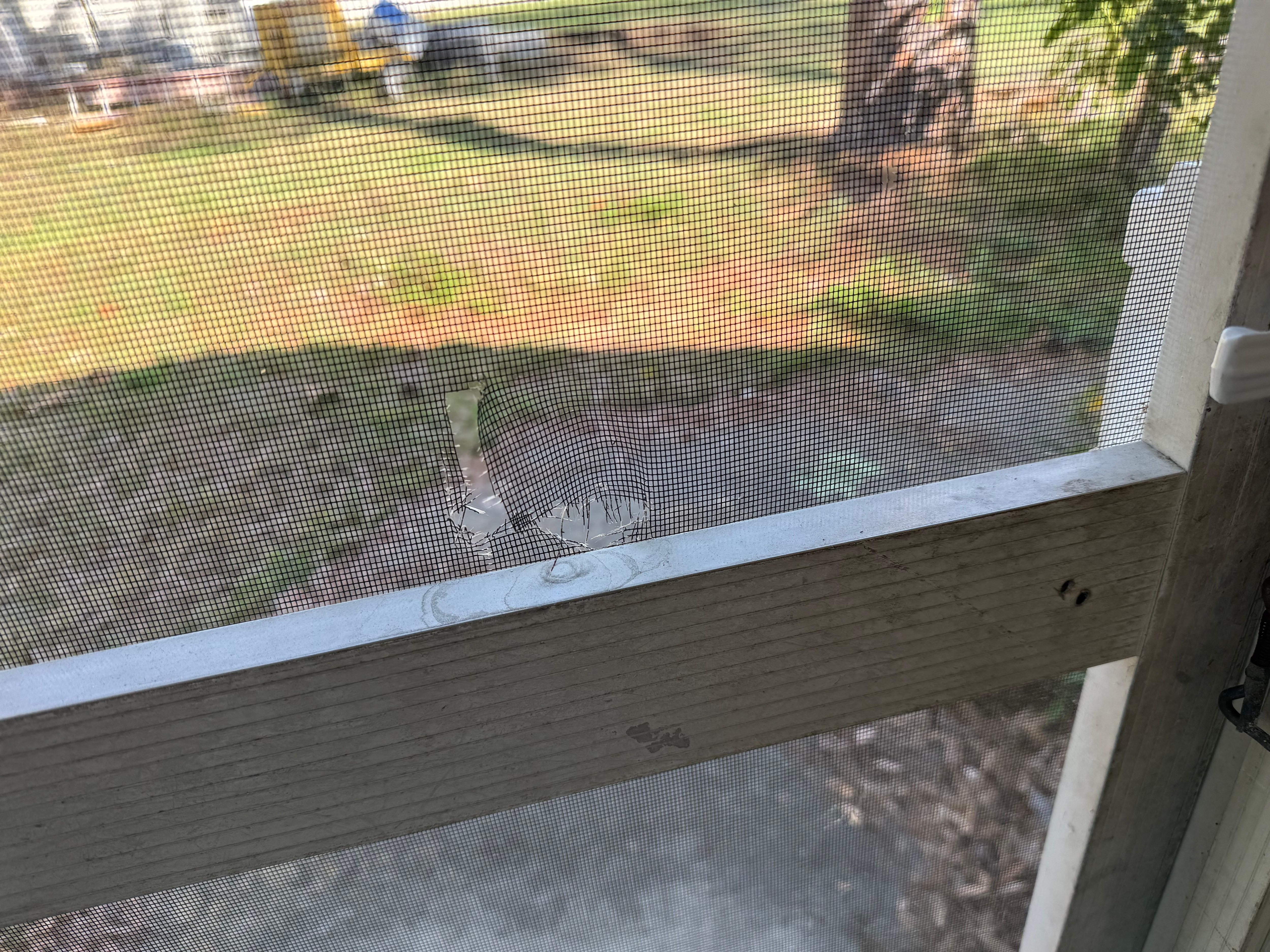 Damage that was on screened porch