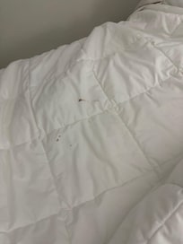 Blood stains that were clearly washed!!!!