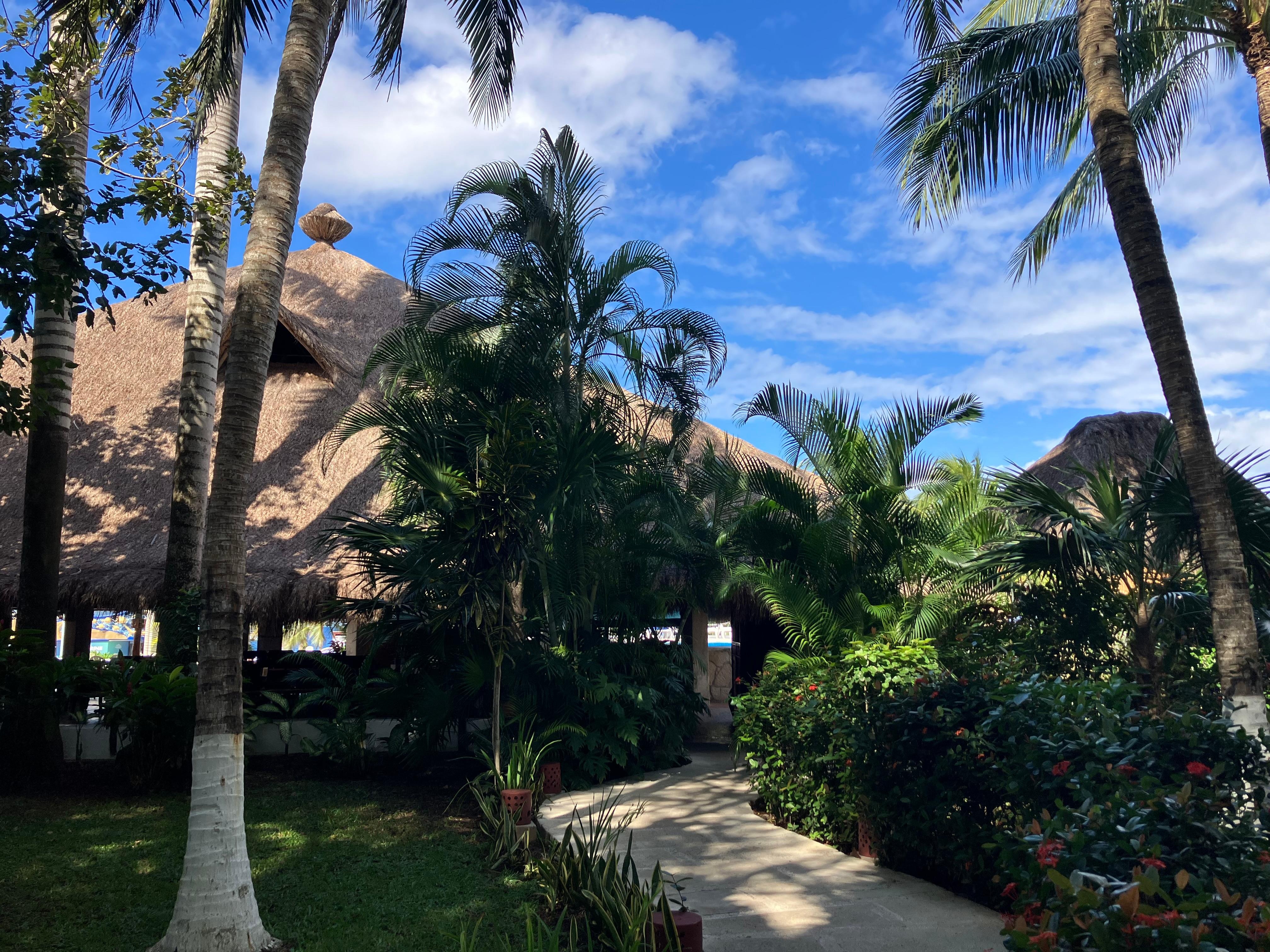 Beautiful garden with wildlife