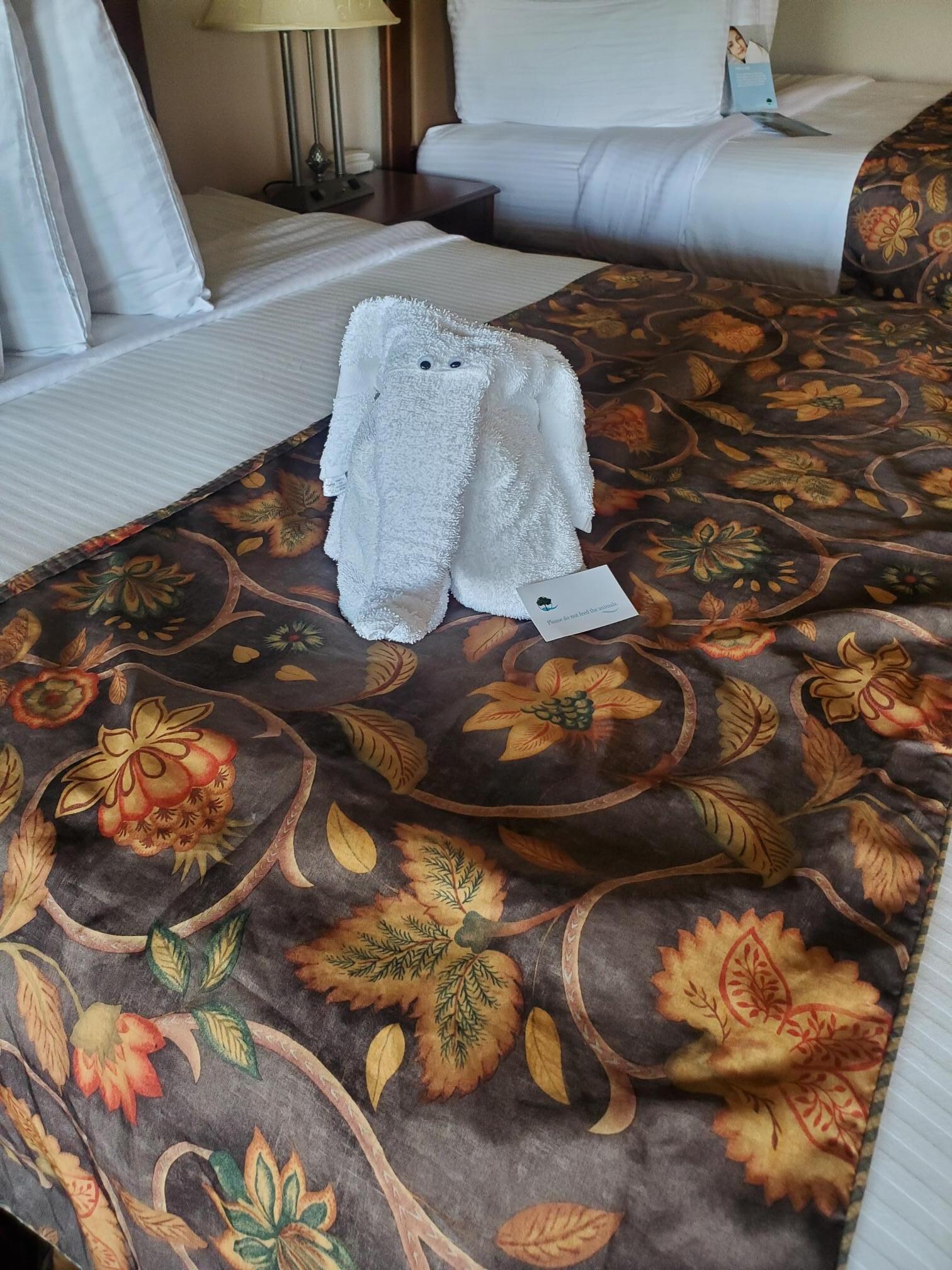 Fun friend to greet us in our room!