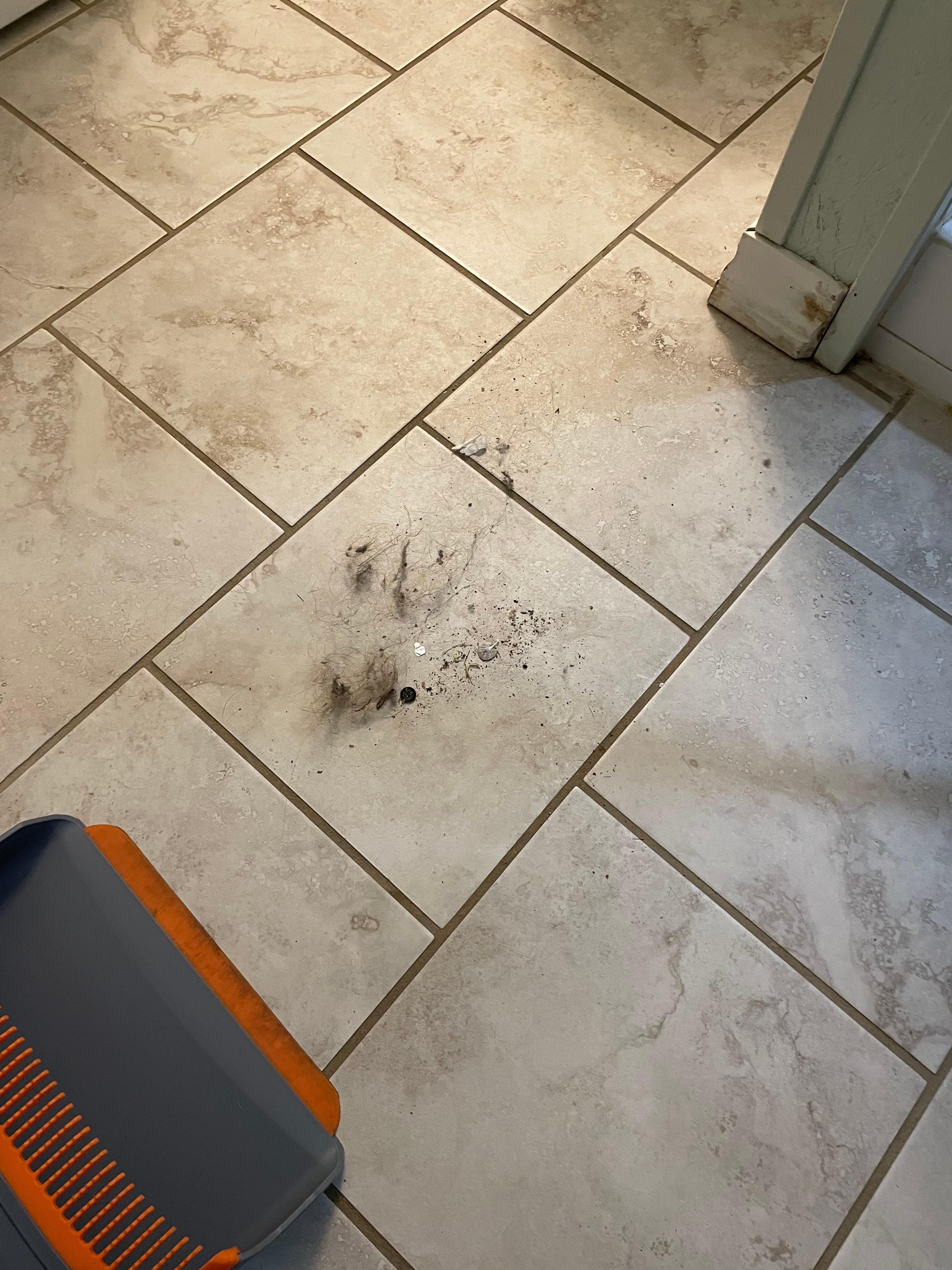 Swept out of one bathroom. Could show you more but only given so much space. 