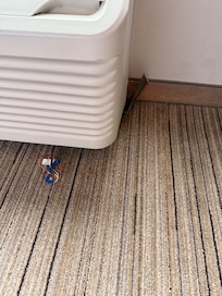 Exposed wires on a/c