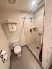 シャワーは動かせないタイプ