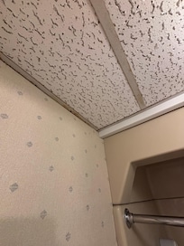 Bathroom ceiling.