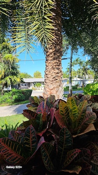 More beautiful landscapes at vacation home rental.