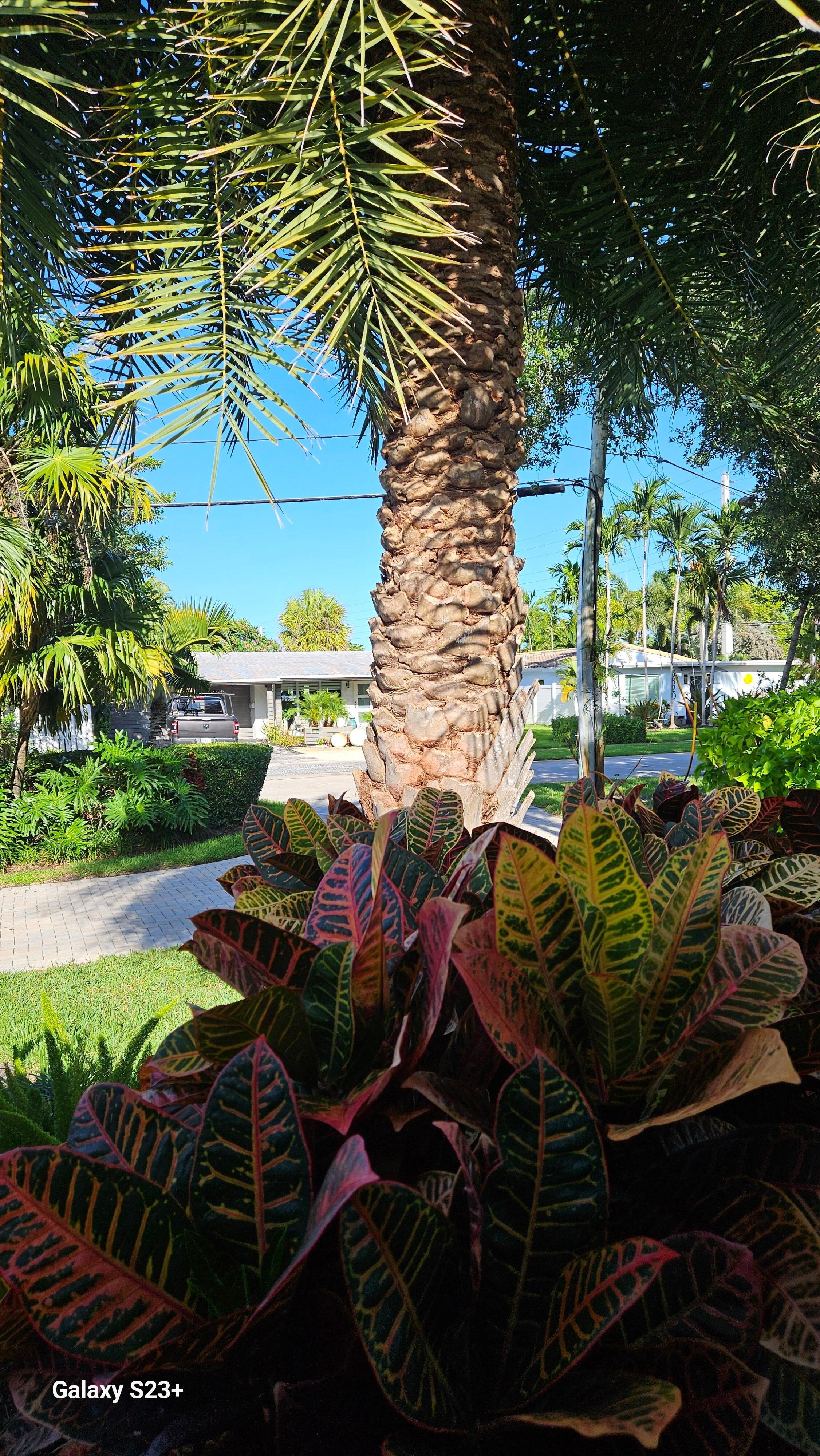 More beautiful landscapes at vacation home rental.