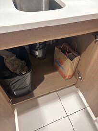 Items left under the sink.