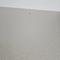 The bug the first time