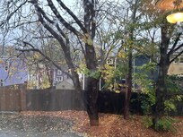 View out my back window