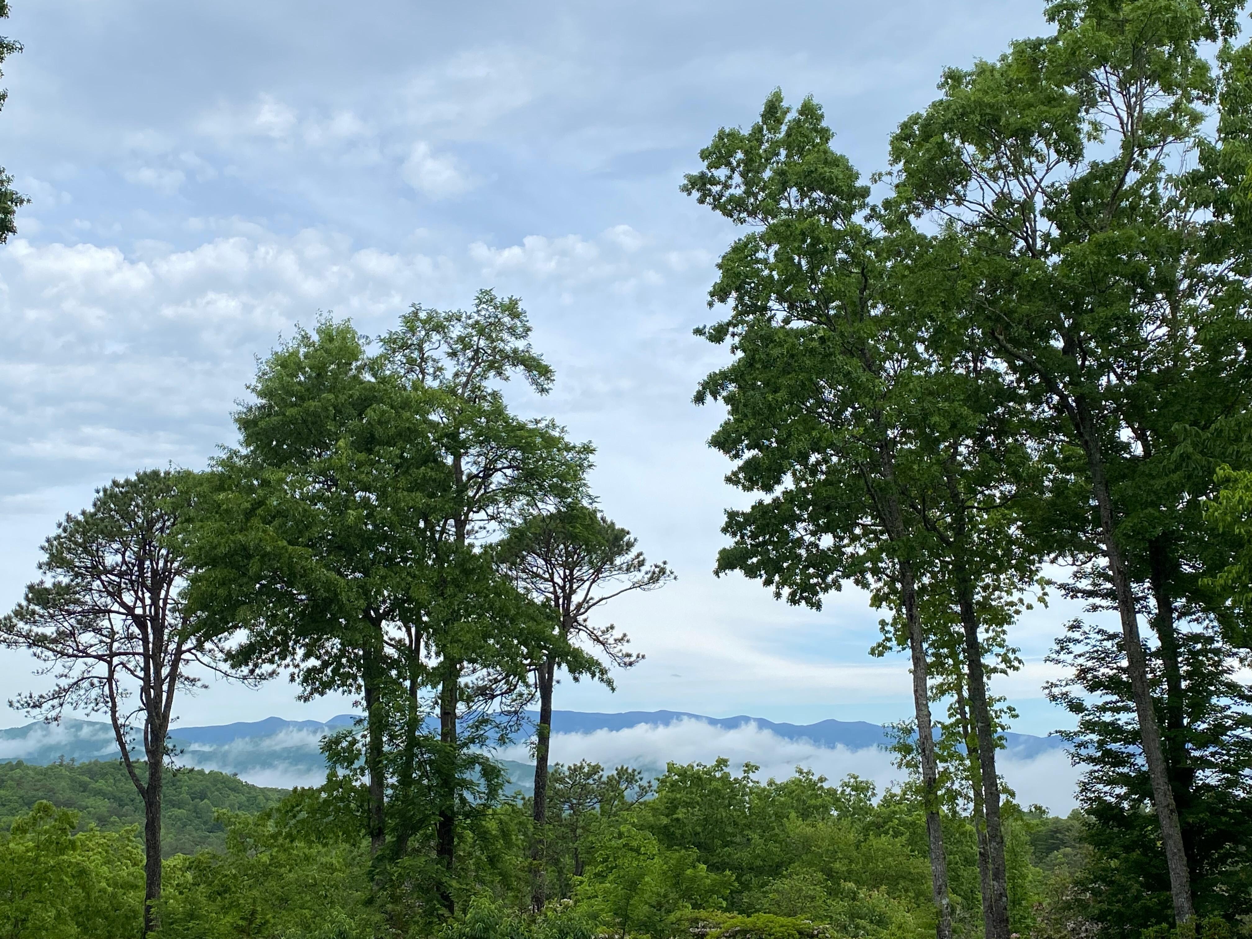 After a storm.  We were aabove the storm which was so cool!