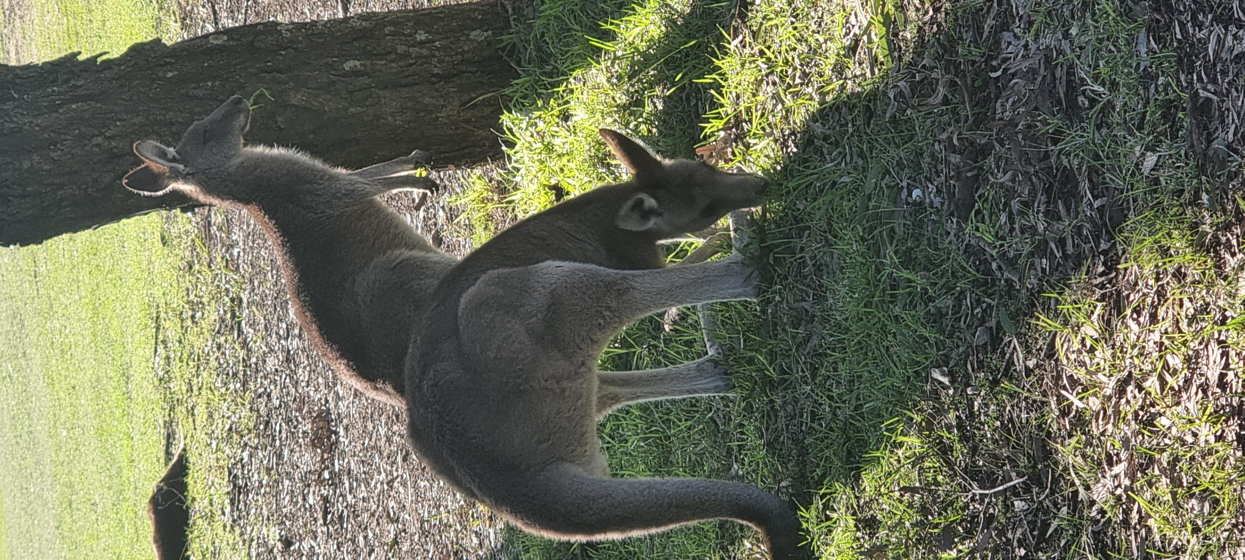 Morning walk with locals.
