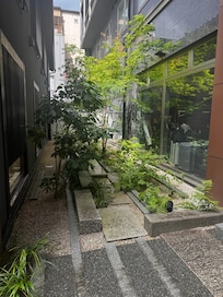 Garden near lobby