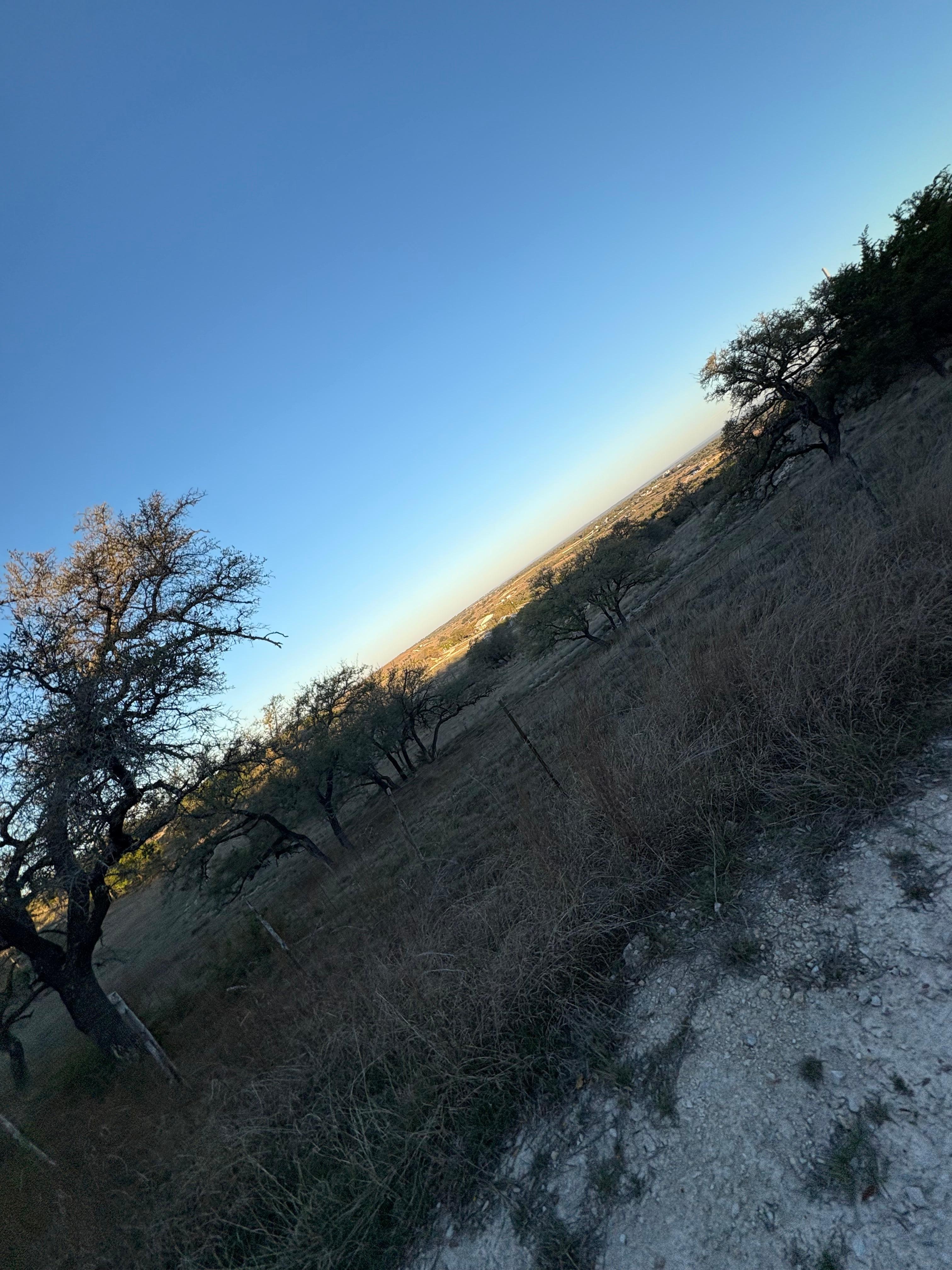 View from front driveway