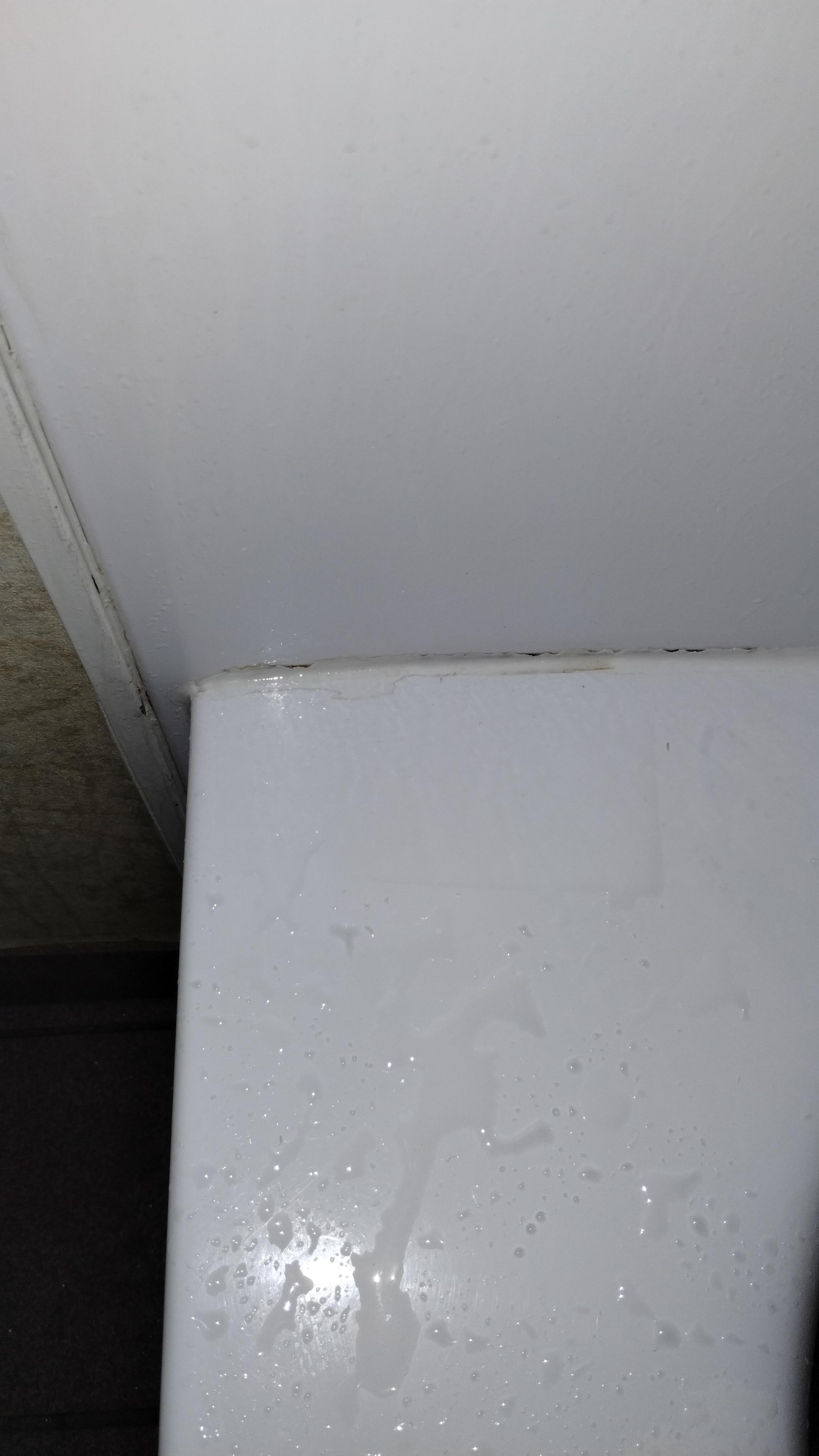 Mold?