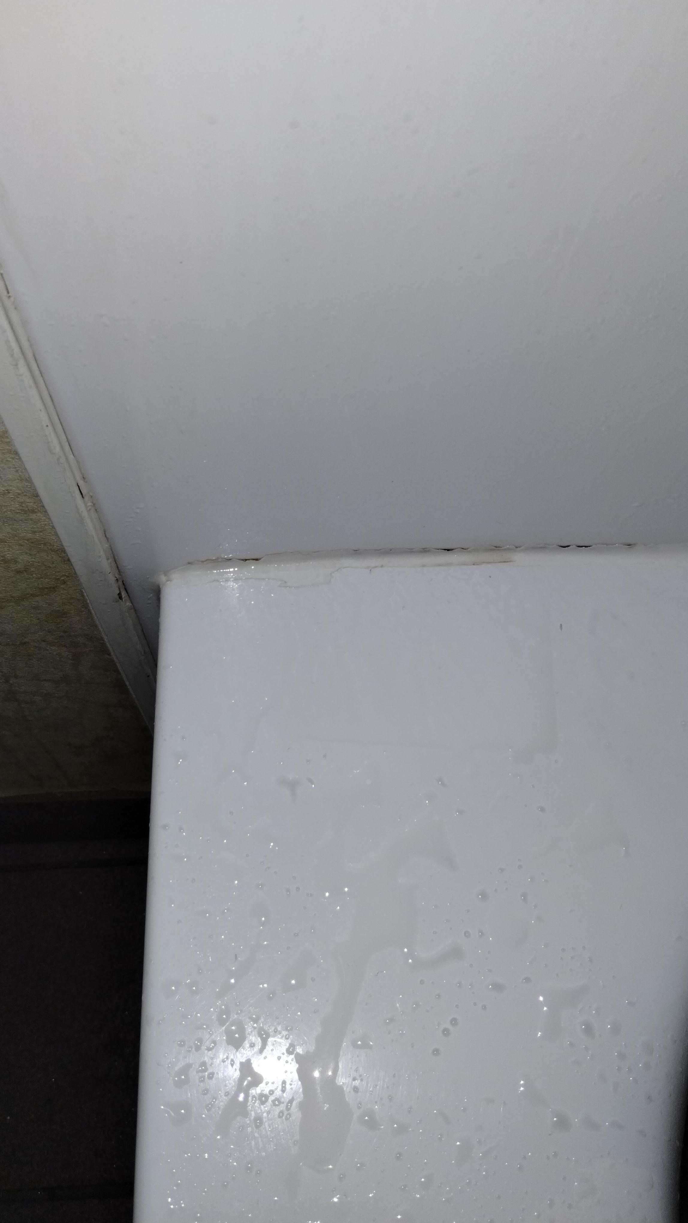 Mold?