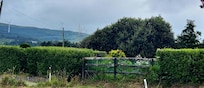 View from the front of the house while drinking my coffee