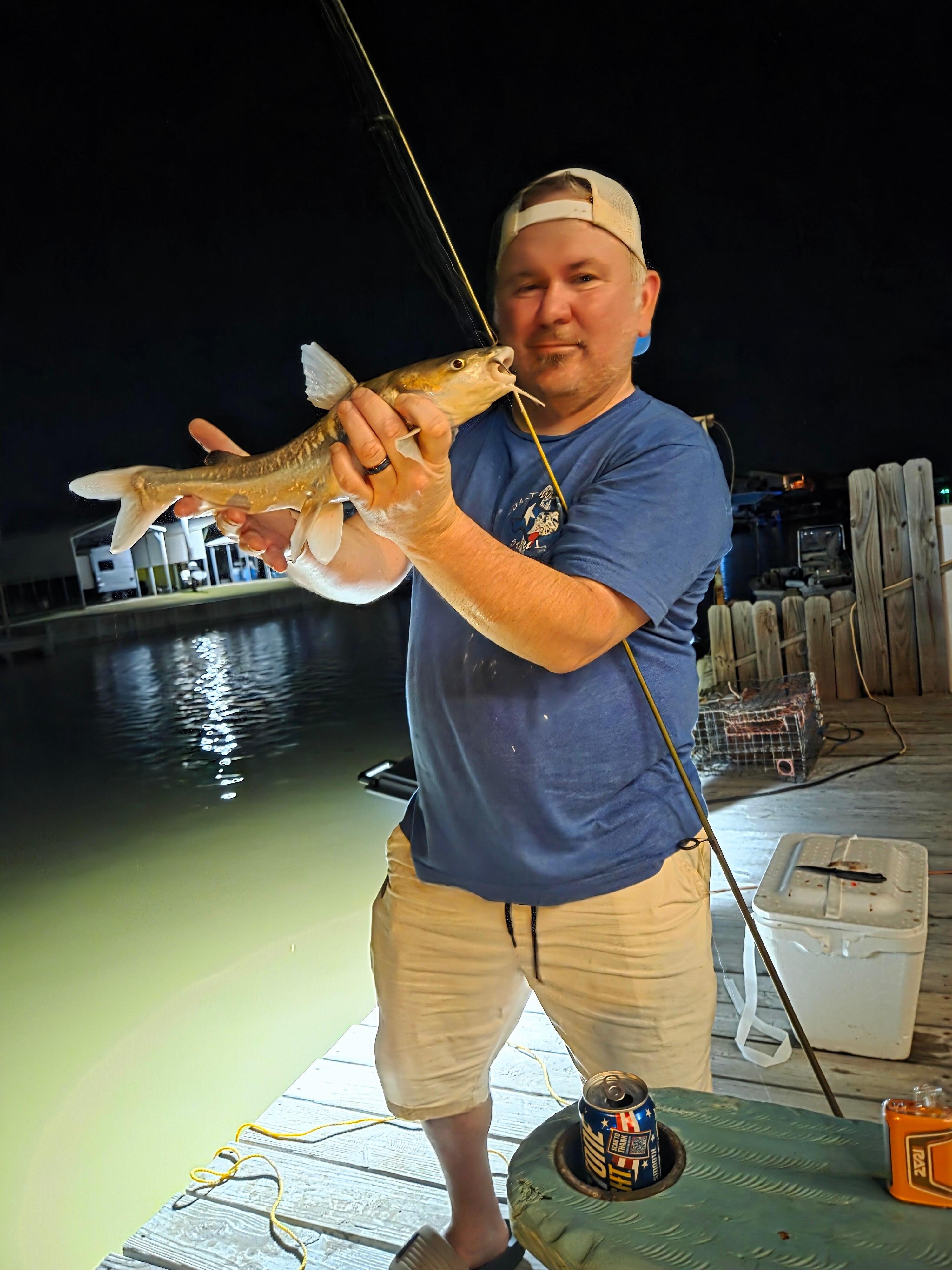 Catfish