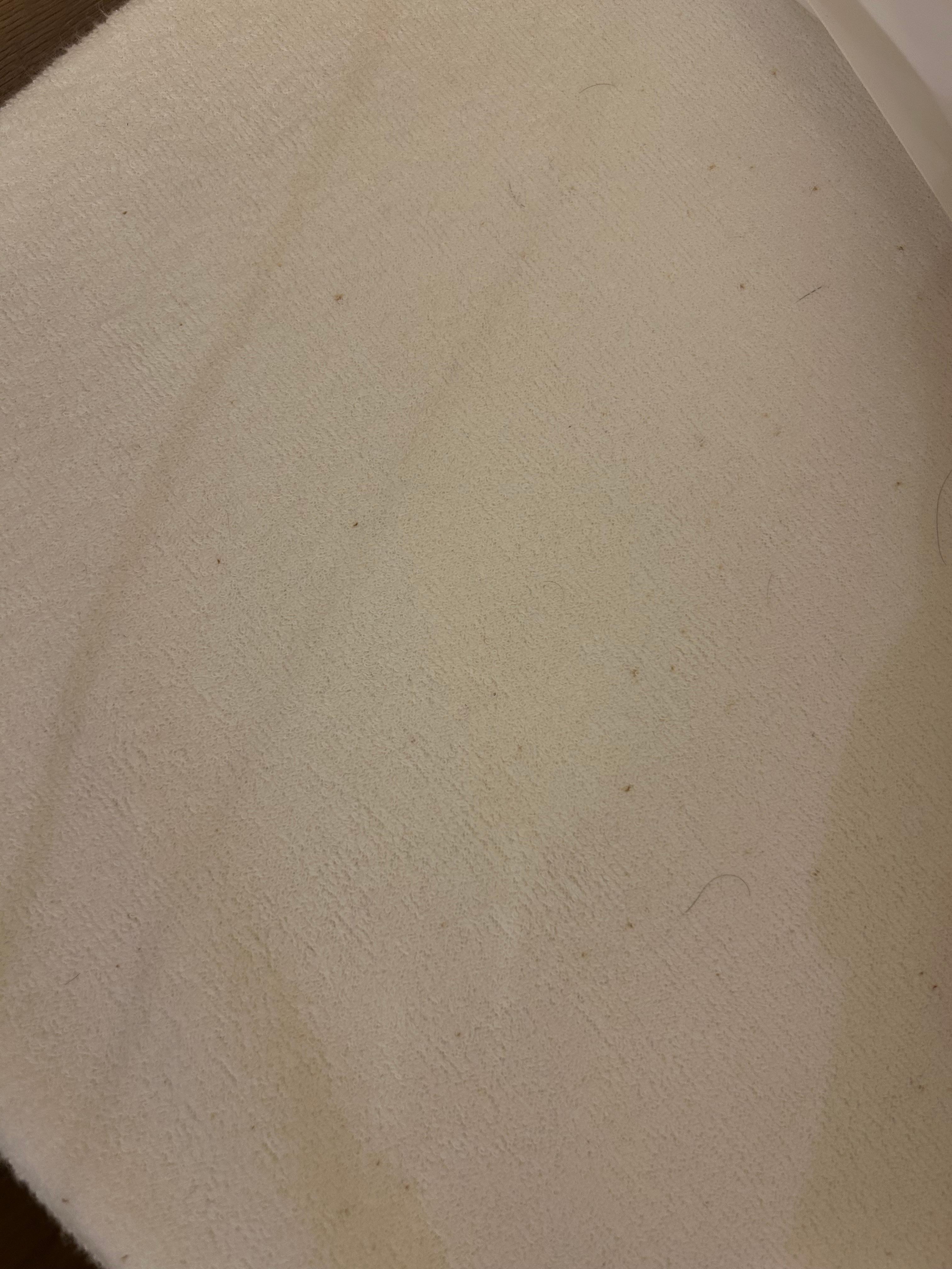 Mattress covering full of what seems to be bugs. Receptionist agreed: “I see the bugs”