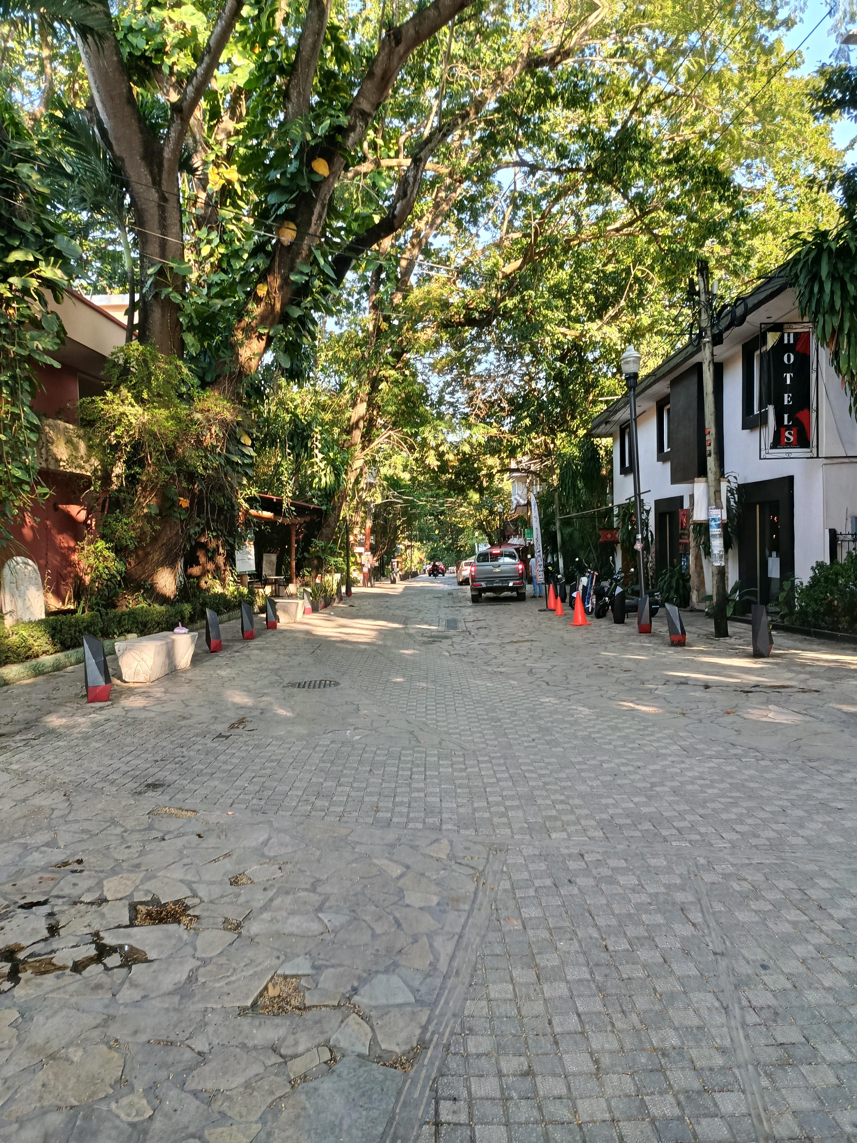 Rue des restos et bars 