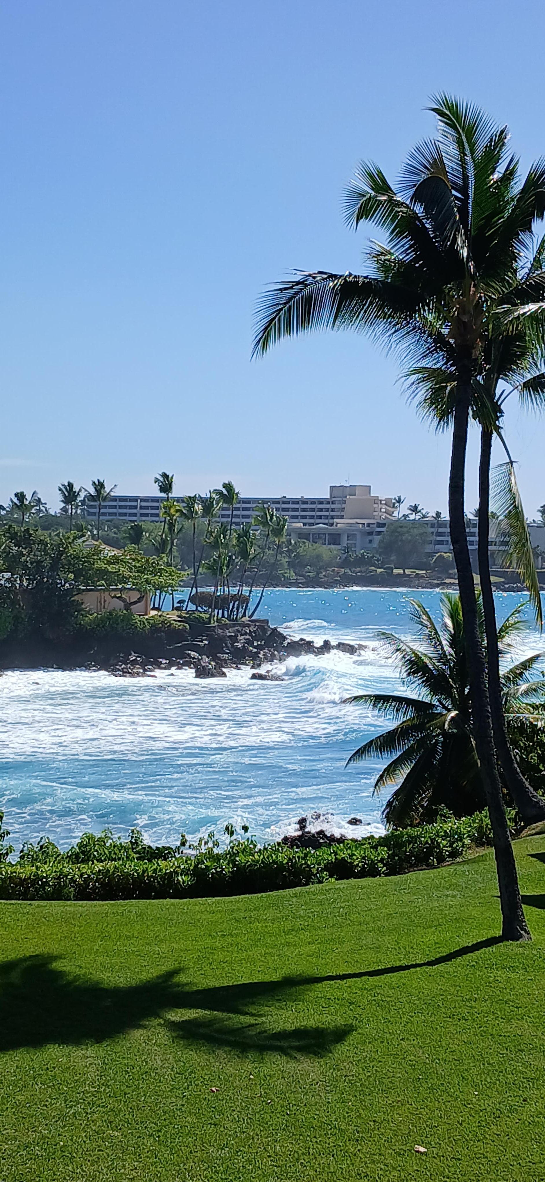 Breakfast (lunch and dinner) with a view. 