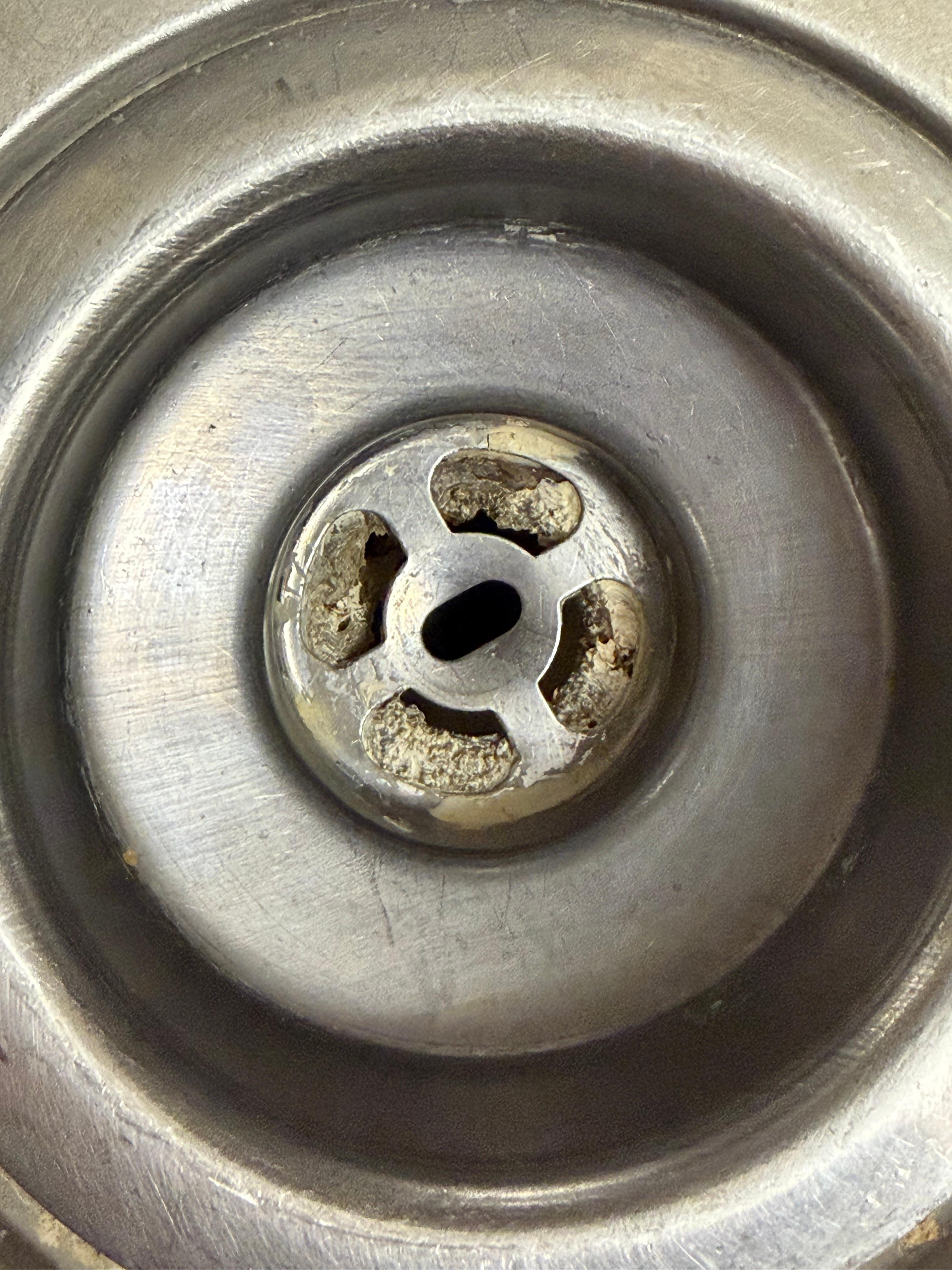 This was the drain in the kitchen sink. It looks like it has never been cleaned